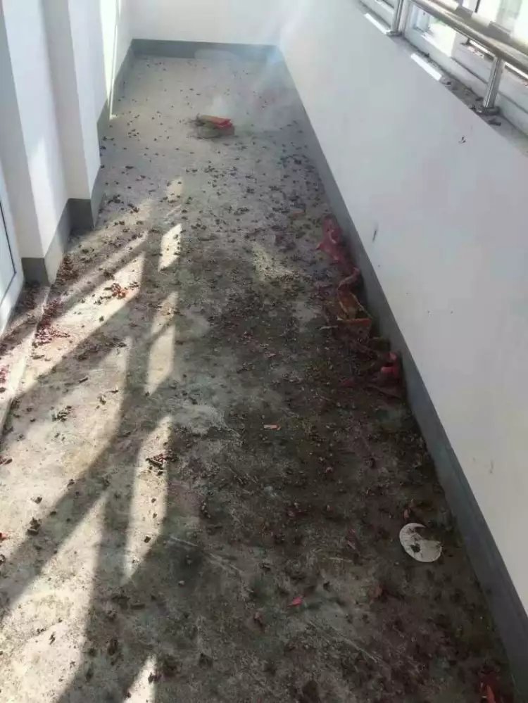 【開工喜訊】恭喜公園南苑陸先生開工大吉！